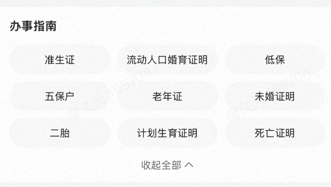 政务办事指南示例